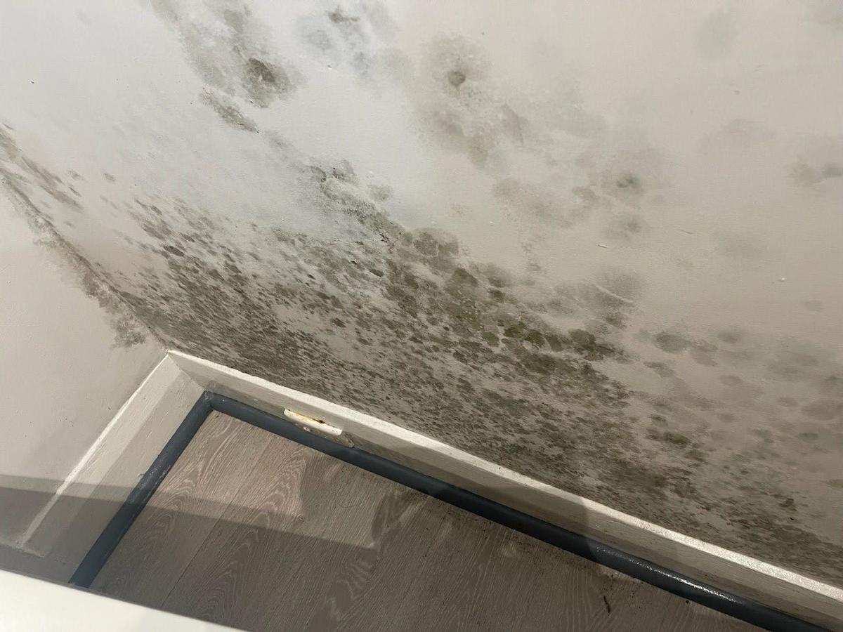 Rising damp investigation diagram showing failed DPC in cavity brickwork